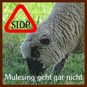Stop Mulesing