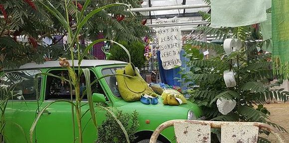 Das bunte Schaf - Wollmarkt im Treibhaus